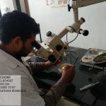 Temporal bone dissection in temporal bone lab